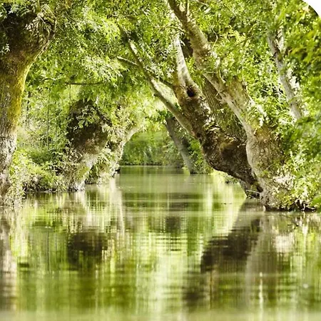 Belle Longere 130 M2 Aux Portes Du Marais Poitevin *